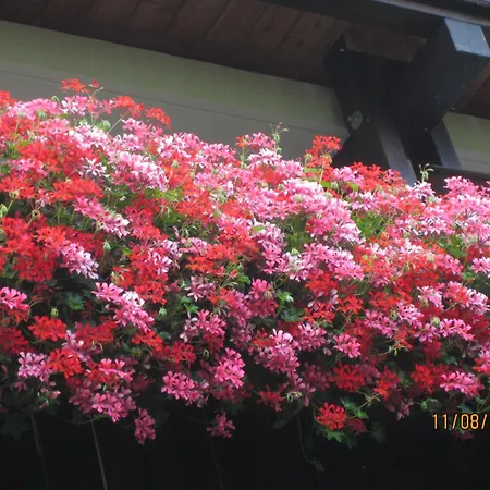 Hoelbinger Alm - * 앙게르