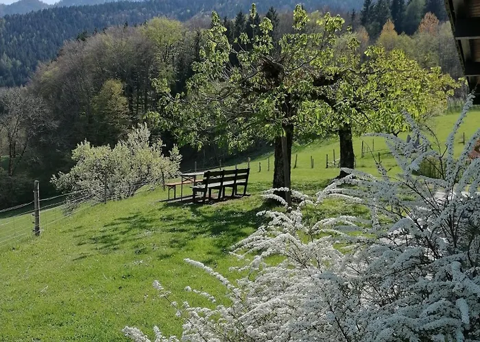 Hoelbinger Alm - Apartmán *