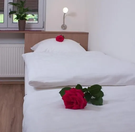 Hoelbinger Alm - Apartmán