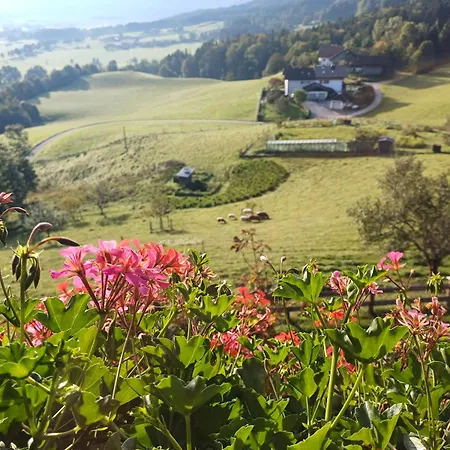 Hoelbinger Alm - Apartmán