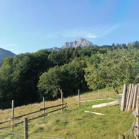 Hoelbinger Alm - Apartmán Anger