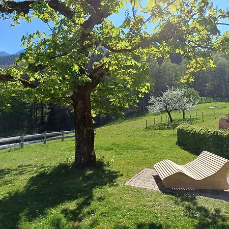 Hoelbinger Alm - Anger