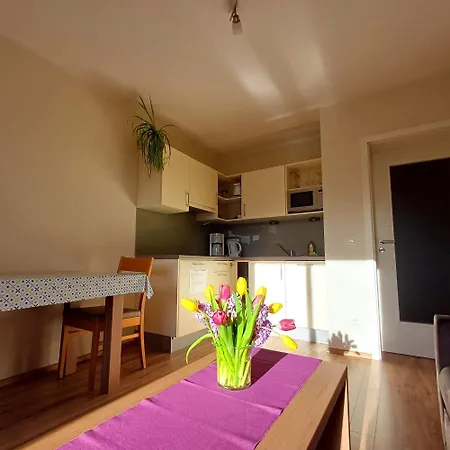 Apartmán Hoelbinger Alm - *