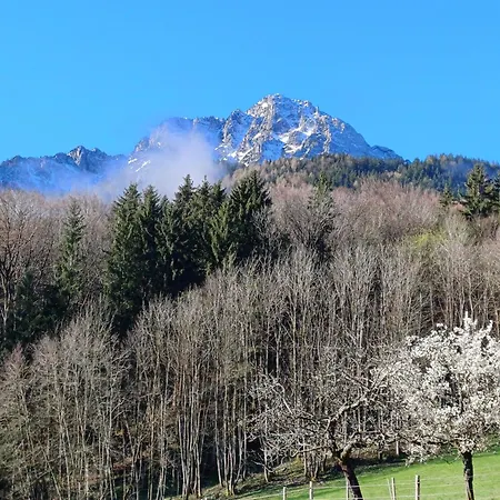Hölbinger Alm - Anger